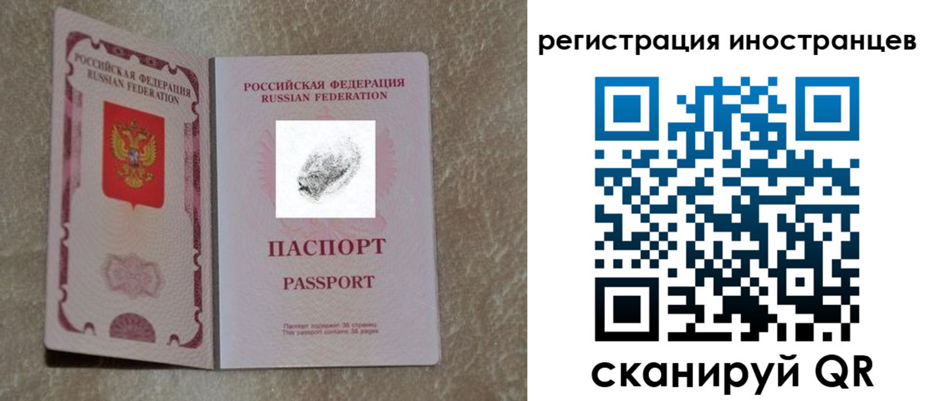 прописка законно в Раменском
